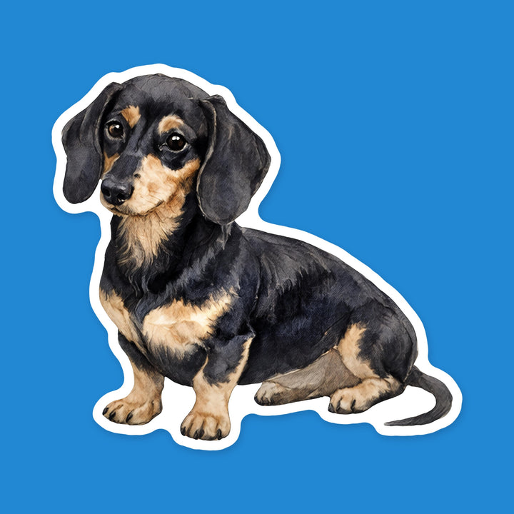 Dachshund Black and Cream watercolor dog sticker