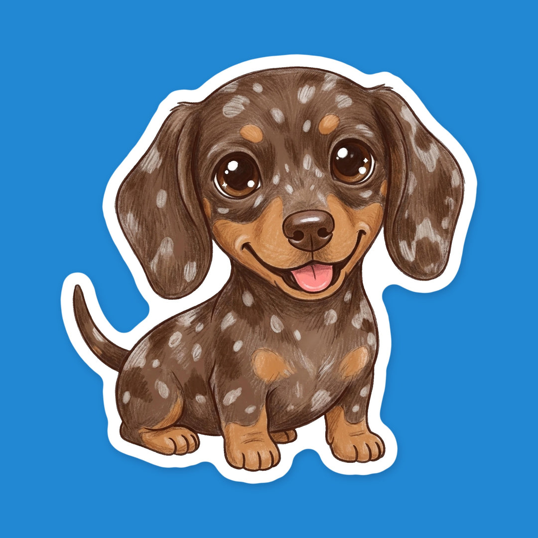Dachshund Chocolate Dapple kawaii vinyl sticker – Designs by Mysh