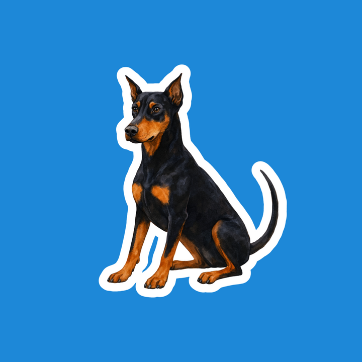 Doberman Pinscher Black and Rust Watercolor