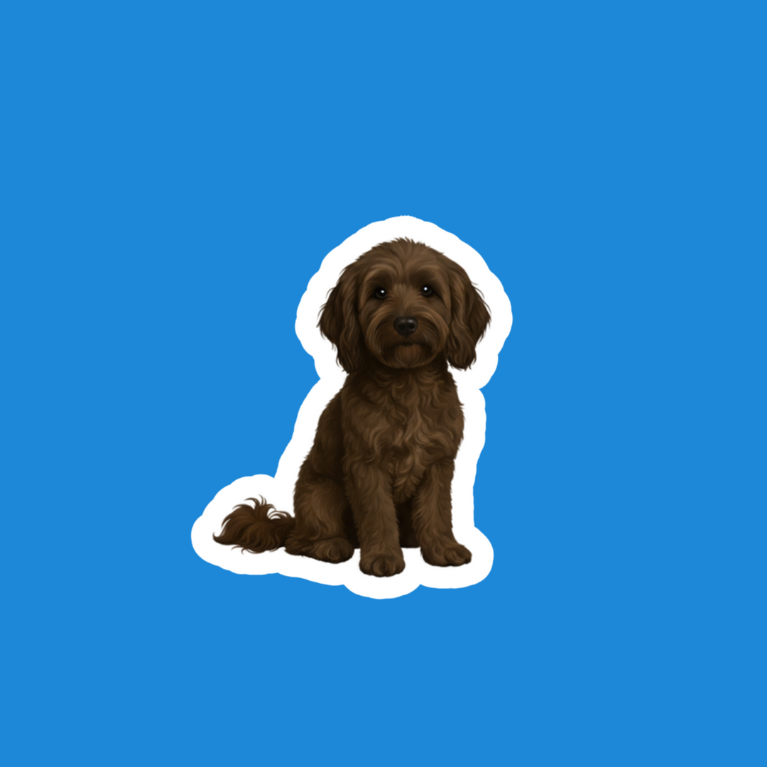 Goldendoodle Chocolate Watercolor – Designs by Mysh