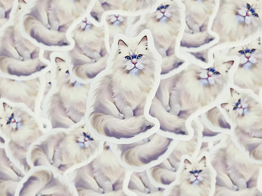 Himalayan Cat Sticker, Fluffy Cat Vinyl Decal, Waterproof Cat Lover Gift, Laptop Water Bottle Decor, Pet Breed Art Sticker