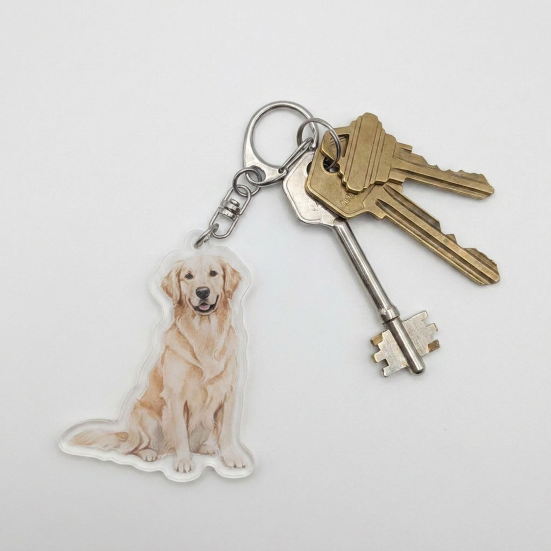 Light golden Golden Retriever acrylic keychain attached to a keyring with house keys
