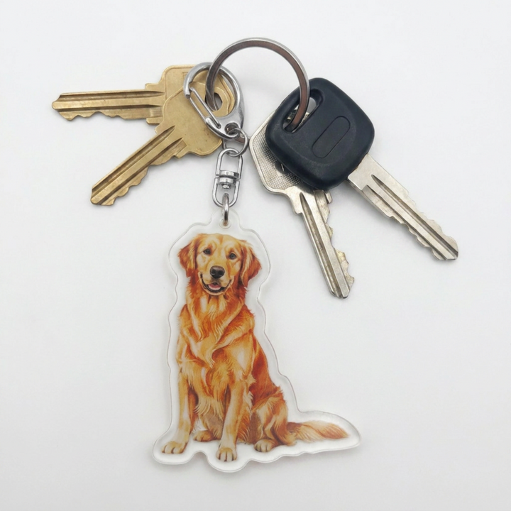 Golden Retriever acrylic keychain attached to a keyring with house keys