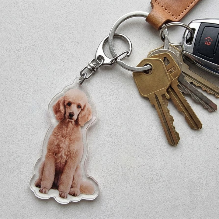 Apricot Poodle acrylic keychain attached to a keyring with house keys