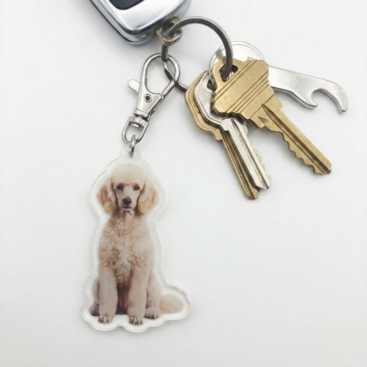 Cream Poodle acrylic keychain attached to a keyring with house keys