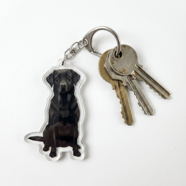 Black Labrador Retriever acrylic keychain attached to a keyring with house keys