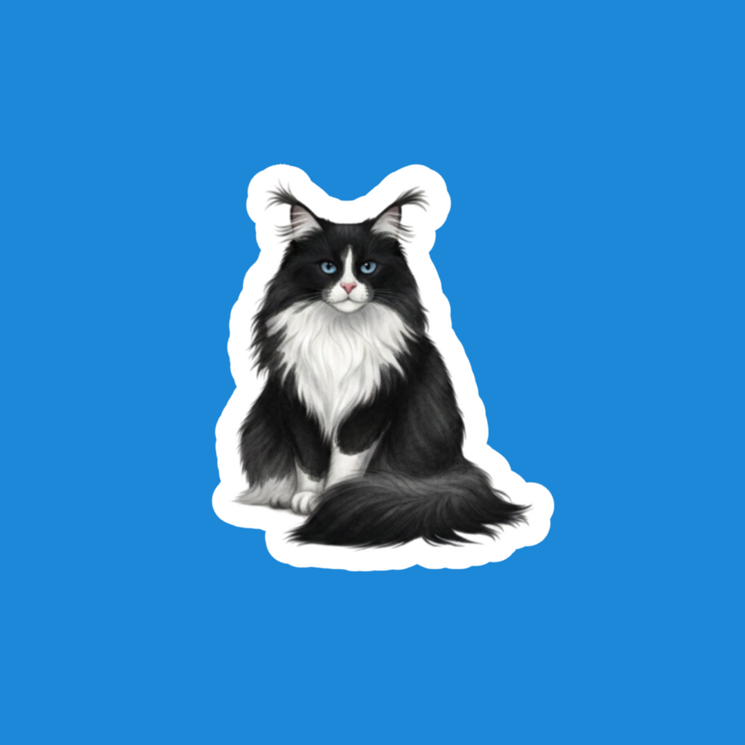 Norwegian Forest Cat black and white watercolor vinyl sticker art on blue background - Designs by Mysh