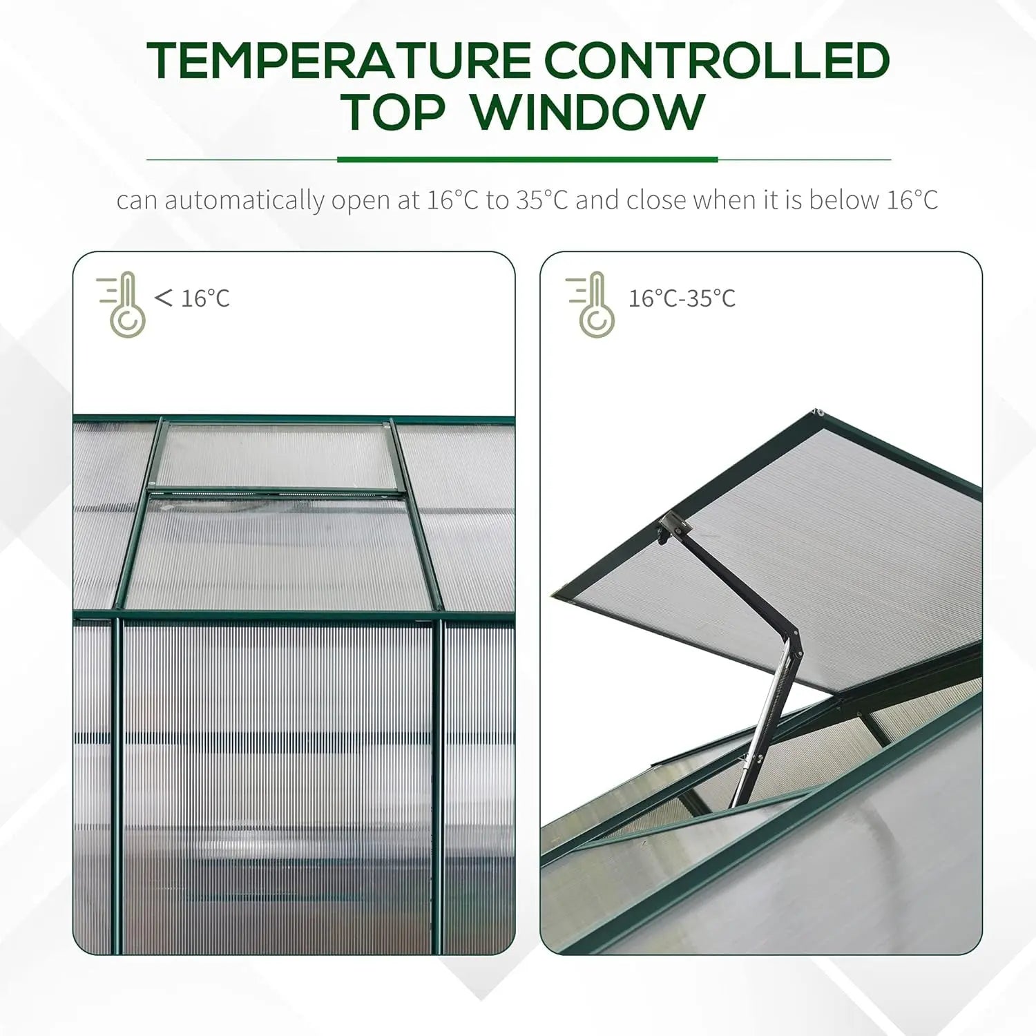 6' X 8' X 7' Walk-In Plant Polycarbonate Greenhouse with Temperature Controlled Window Hobby Greenhouse for Backyard/Outdoor - Designs by Mysh