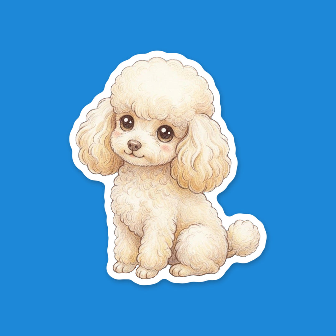 Poodle Cream kawaii vinyl sticker, sitting toy poodle with a head tilt – Designs by Mysh