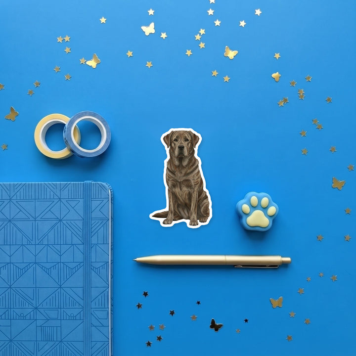 Rafeiro do Alentejo Brindle magnet flat lay with stationery