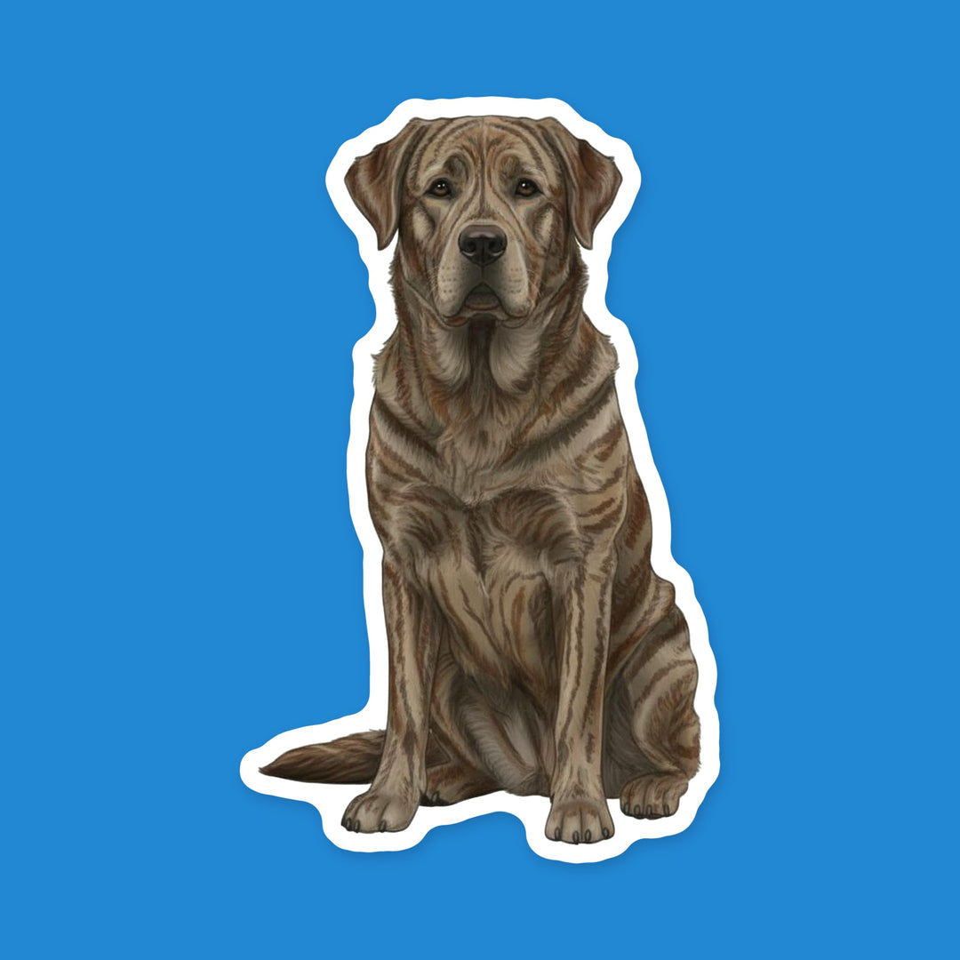 Rafeiro do Alentejo Brindle watercolor dog sticker