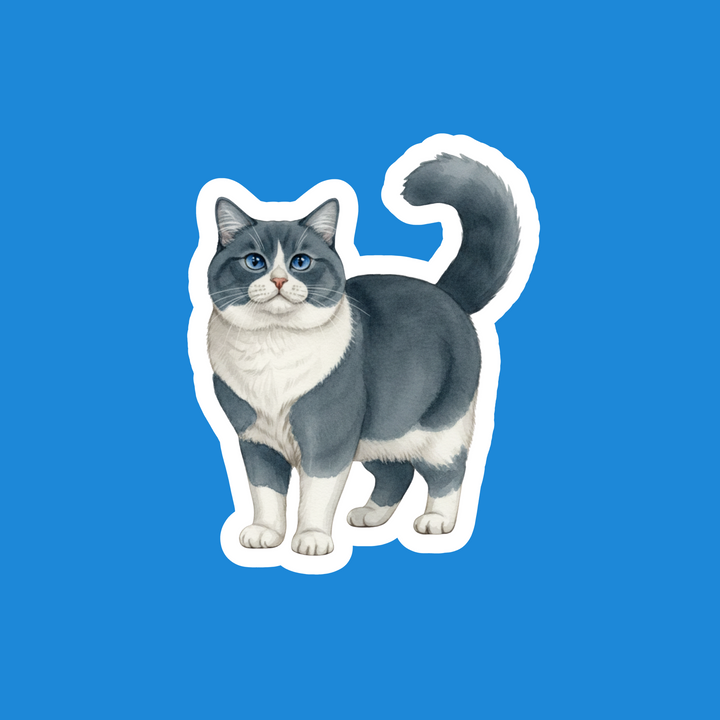 Ragamuffin Blue and White Watercolor Artwork – Designs by Mysh