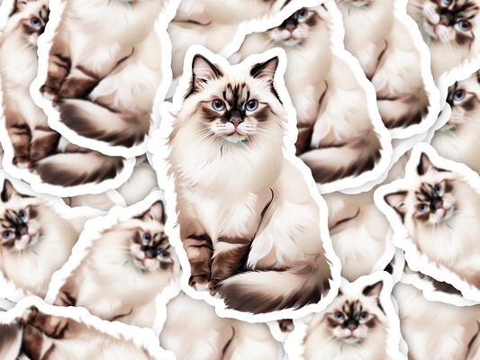 Ragdoll Cat Sticker, Blue-Eyed Cat Vinyl Decal, Waterproof Pet Lover Gift, Laptop Water Bottle Decor, Longhair Cat Art Sticker