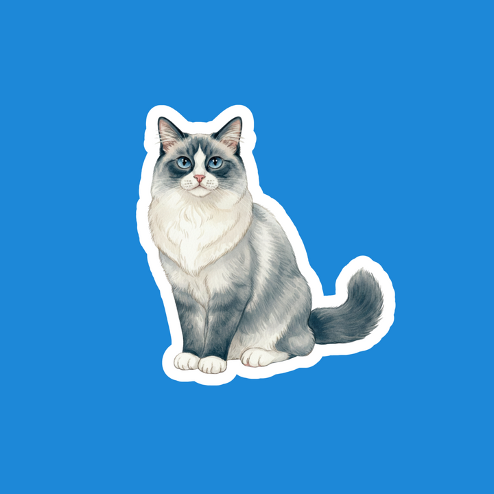 Ragdoll Blue Bicolor Watercolor Artwork – Designs by Mysh