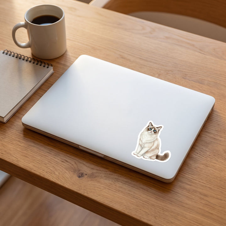 Ragdoll Seal Bicolor Sticker on a laptop - Designs by Mysh