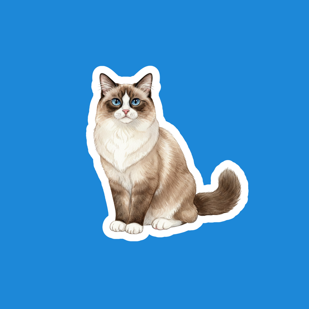 Ragdoll Seal Mitted Watercolor Artwork – Designs by Mysh