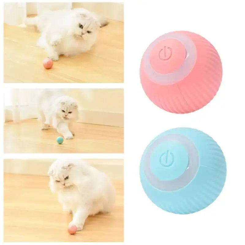 Rechargeable Cat Ball Toy Smart Automatic Rolling Kitten Toys 360 Degree Spinning Ball for Cats Usb Rechargeable Pet Toys - Designs by Mysh