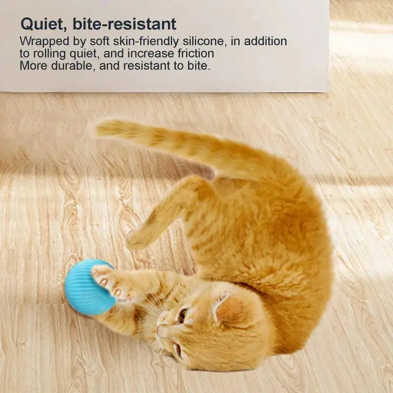 Rechargeable Cat Ball Toy Smart Automatic Rolling Kitten Toys 360 Degree Spinning Ball for Cats Usb Rechargeable Pet Toys - Designs by Mysh