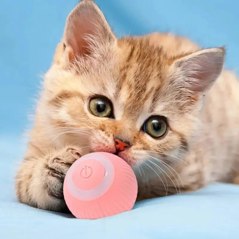 Rechargeable Cat Ball Toy Smart Automatic Rolling Kitten Toys 360 Degree Spinning Ball for Cats Usb Rechargeable Pet Toys - Designs by Mysh