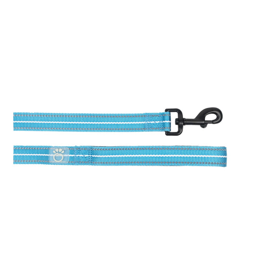 Reflective Leash - Neon Blue - Designs by Mysh