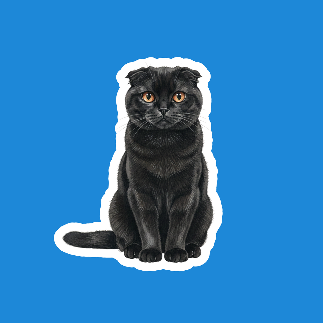 Scottish Fold Black Cat Watercolor Fridge Magnet – Designs by Mysh