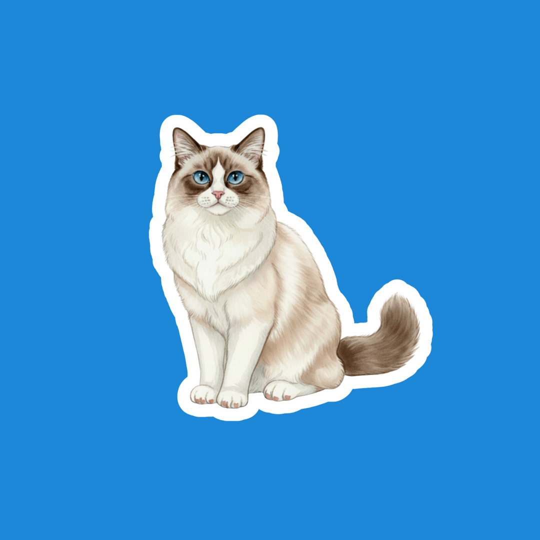 Ragdoll Seal Bicolor Watercolor Artwork – Designs by Mysh