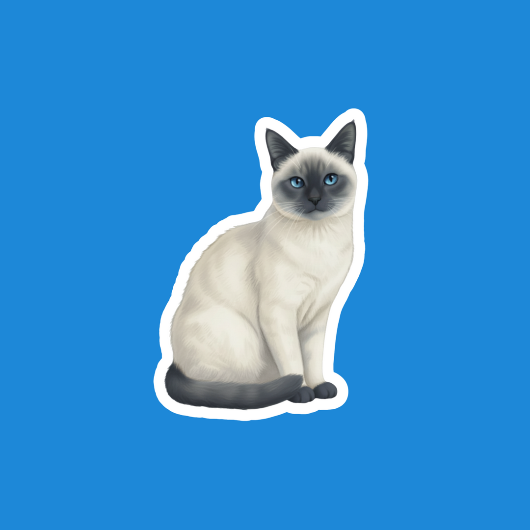 Siamese Blue Point Watercolor