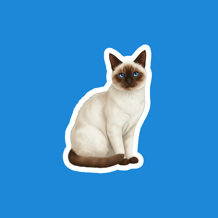 Siamese Seal Point Cat Watercolor Fridge Magnet – Designs by Mysh
