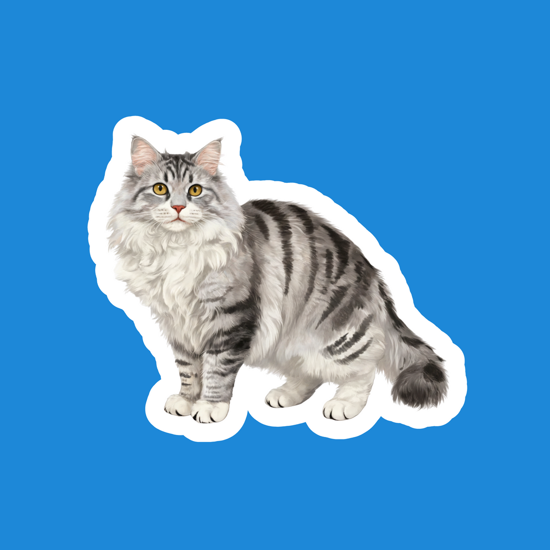 Siberian Silver Tabby Watercolor Artwork – Designs by Mysh