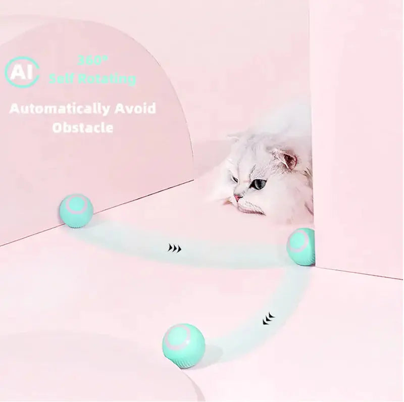 Smart Cat Ball Toys - Designs by Mysh