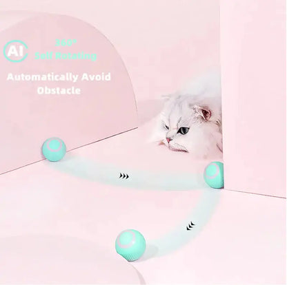 Smart Cat Ball Toys - Designs by Mysh