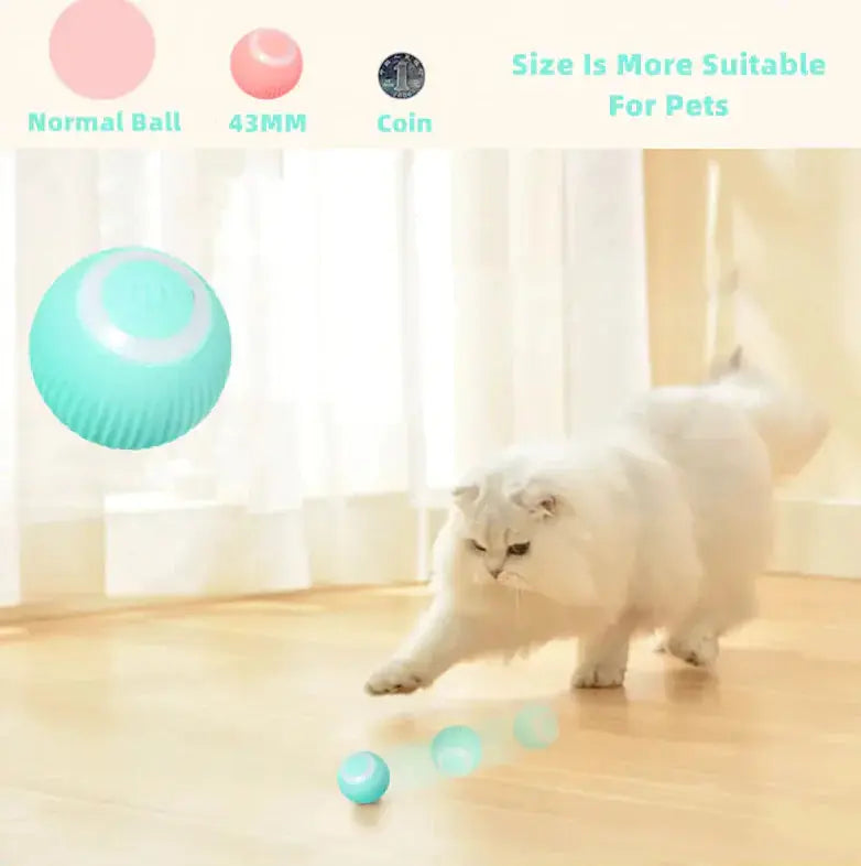 Smart Cat Ball Toys - Designs by Mysh