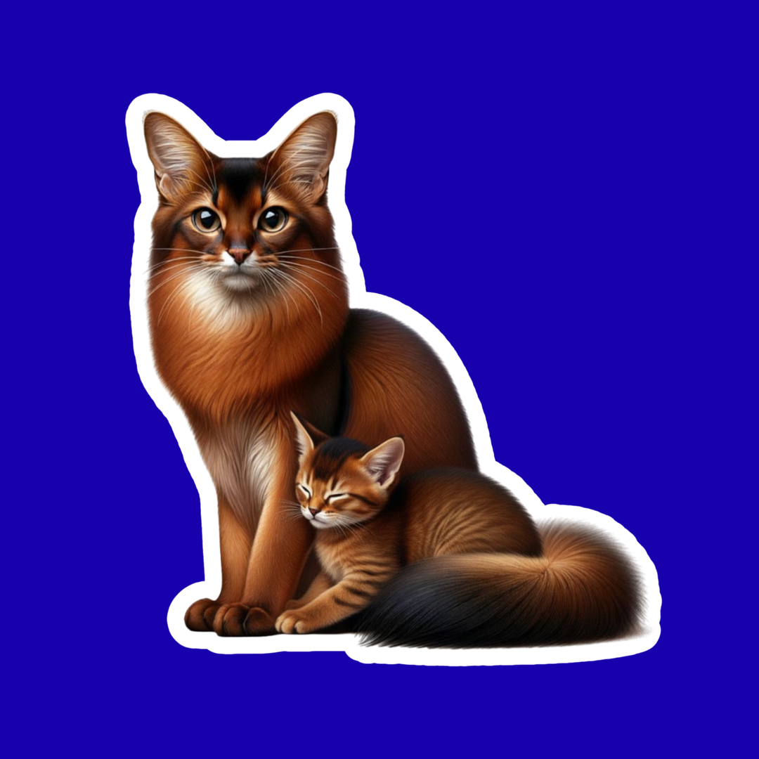 Illustration of a somali cat and its kitten on a blue background