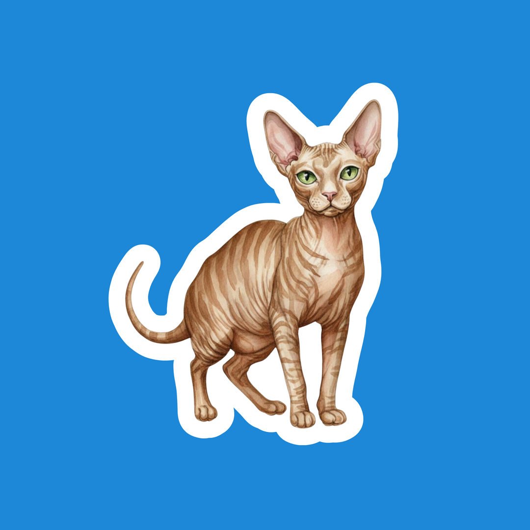 SphynxTabbyWatercolor