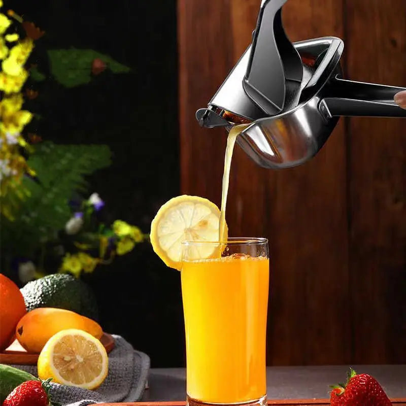 Stainless Steel Manual Juicer Multifunctional Juicer - Designs by Mysh