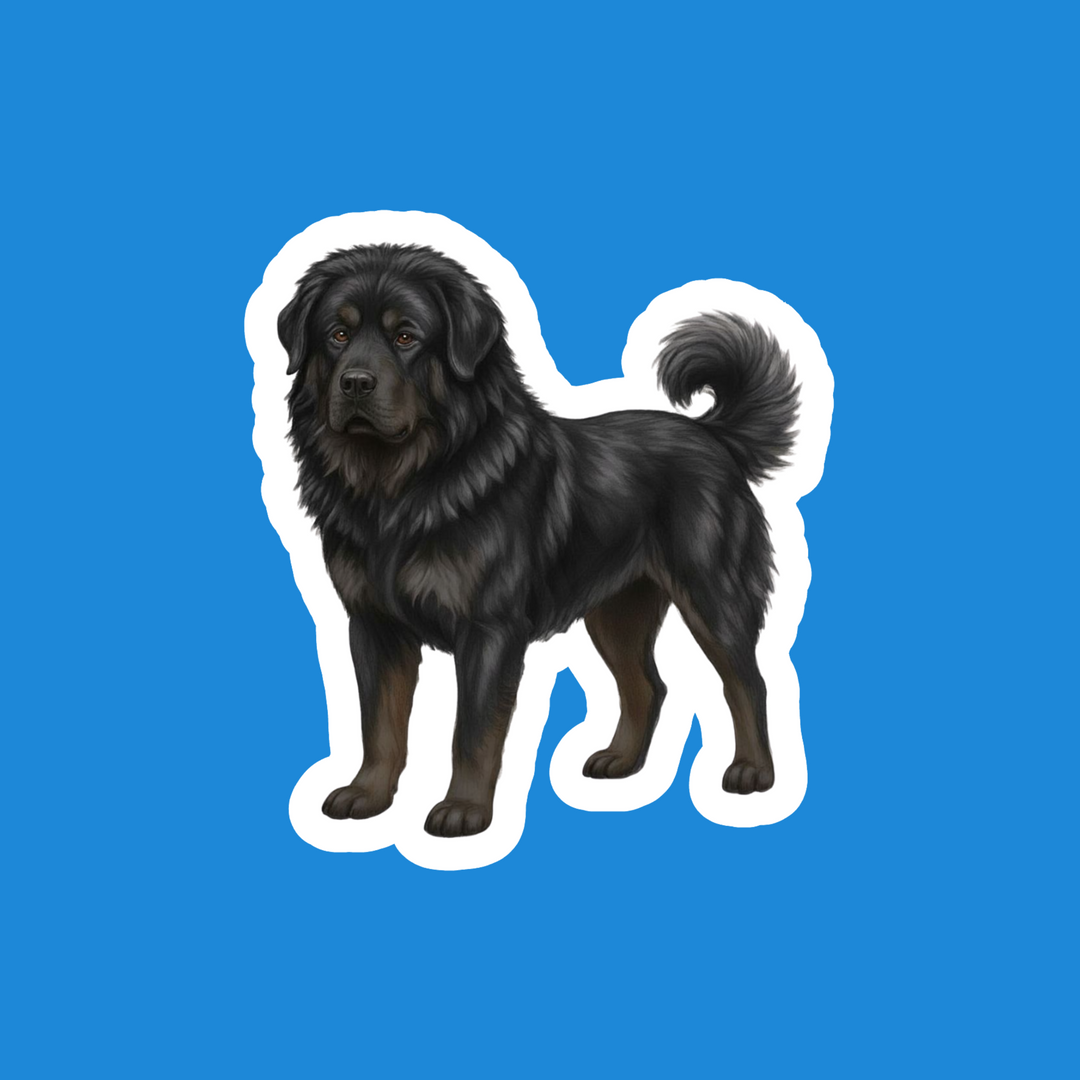 Black dog illustration on a blue background