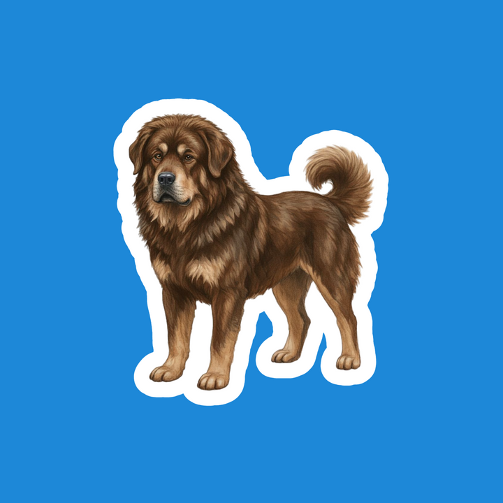 Brown dog illustration on a blue background
