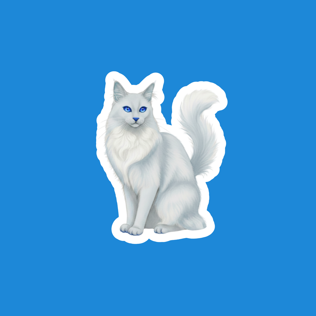 Turkish Angora Blue Watercolor Artwork – Designs by Mysh