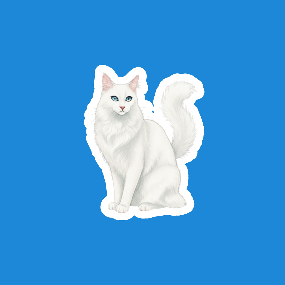 Turkish Angora White Watercolor Artwork – Designs by Mysh