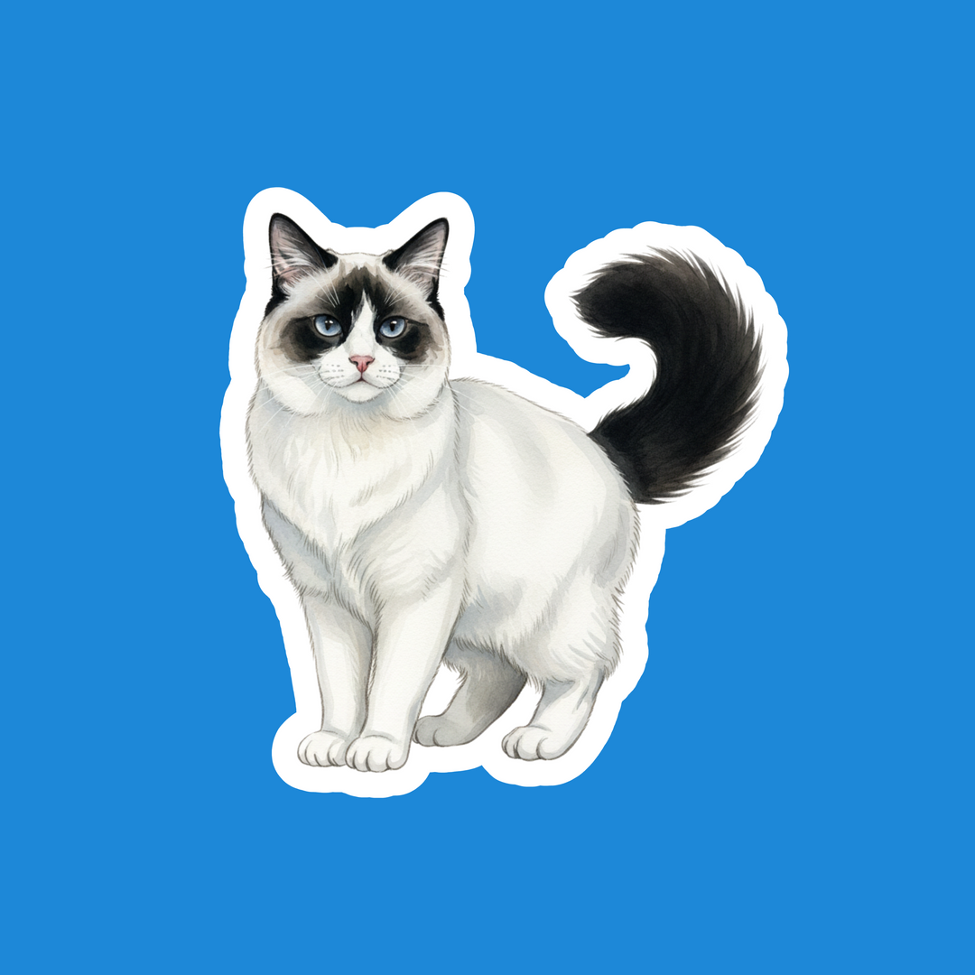 Turkish Van Black and White Watercolor Artwork – Designs by Mysh