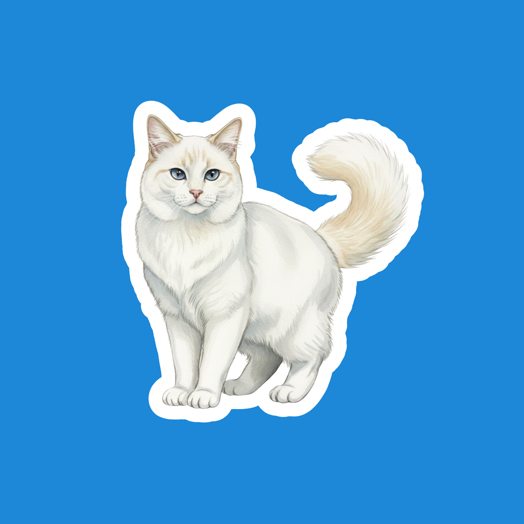 Turkish Van Cream and White Watercolor Artwork – Designs by Mysh