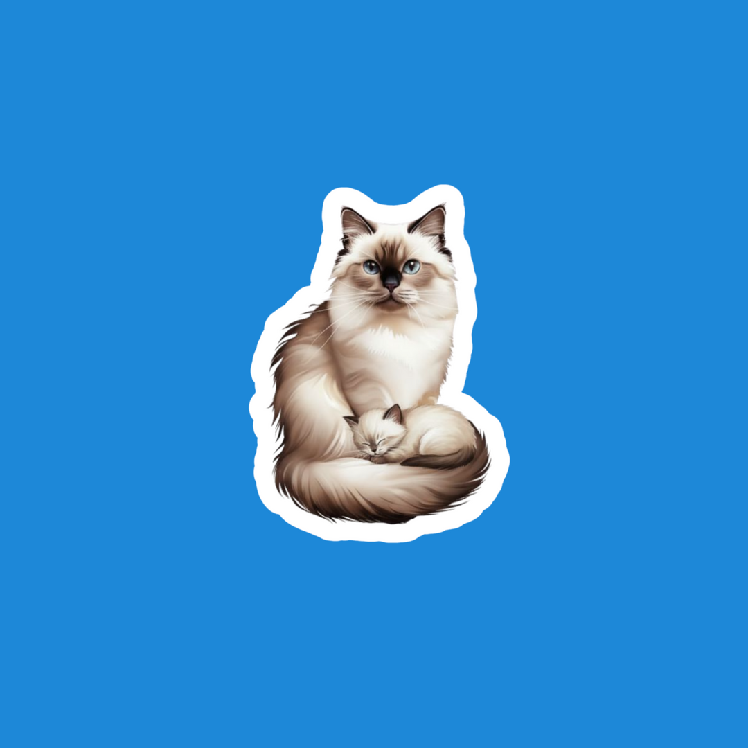A die-cut sticker featuring a fluffy long-haired cat with cream, beige, and brown fur, sitting against a solid bright blue background.