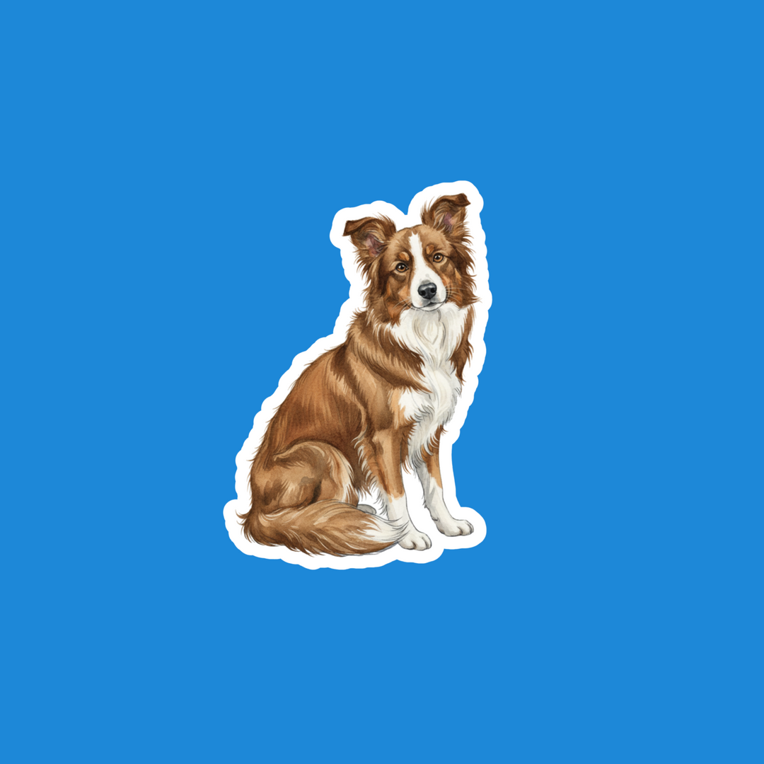 A die-cut sticker of a brown and white collie dog, shown against a solid blue background.