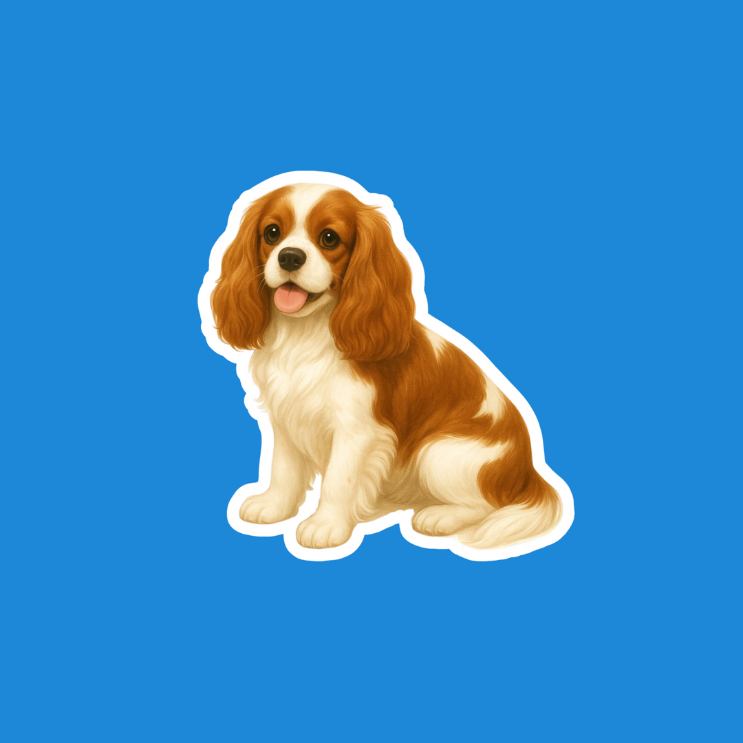 A die-cut sticker of a sitting Cavalier King Charles Spaniel dog with brown and white fur, shown on a solid blue background.