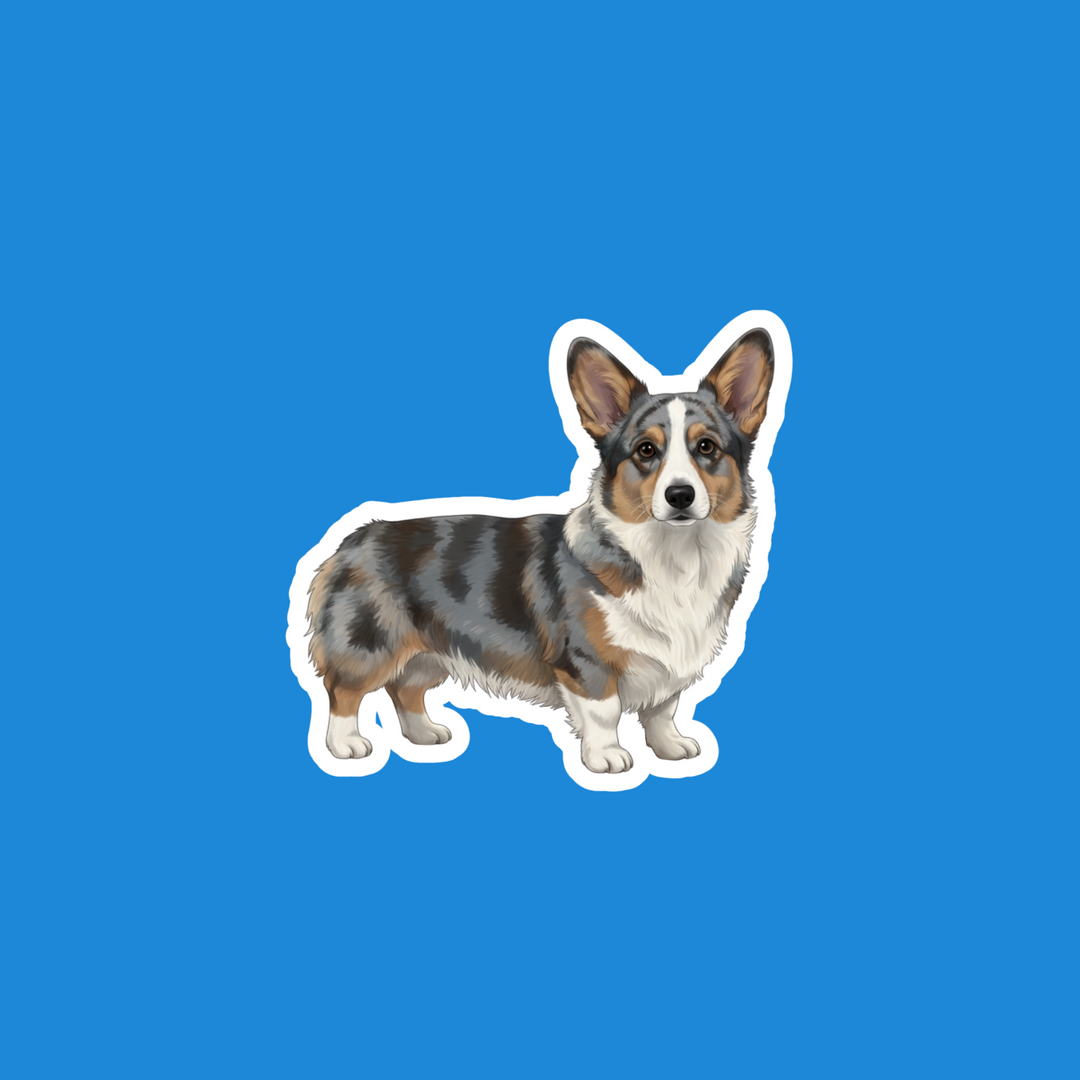 A die-cut vinyl sticker of a Welsh Corgi dog with a tri-color merle coat, shown against a solid blue background.