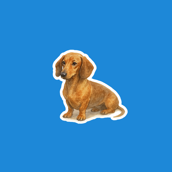 A die-cut sticker of a brown dachshund sitting down, shown against a solid blue background.