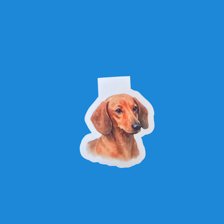 A die-cut sticker featuring a watercolor illustration of a dachshund dog&