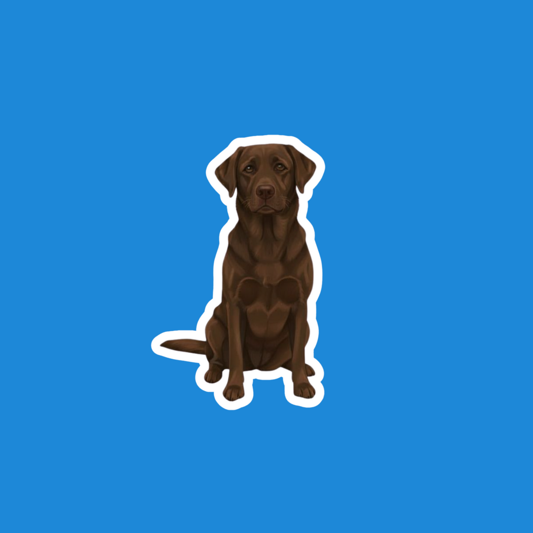 A die-cut vinyl sticker of a sitting chocolate Labrador Retriever, shown against a solid blue background.