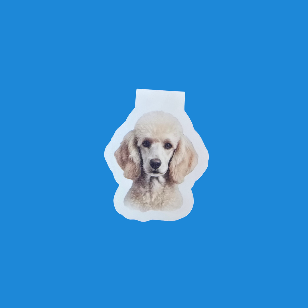 A die-cut sticker featuring a portrait of a cream-colored poodle, shown against a solid bright blue background.