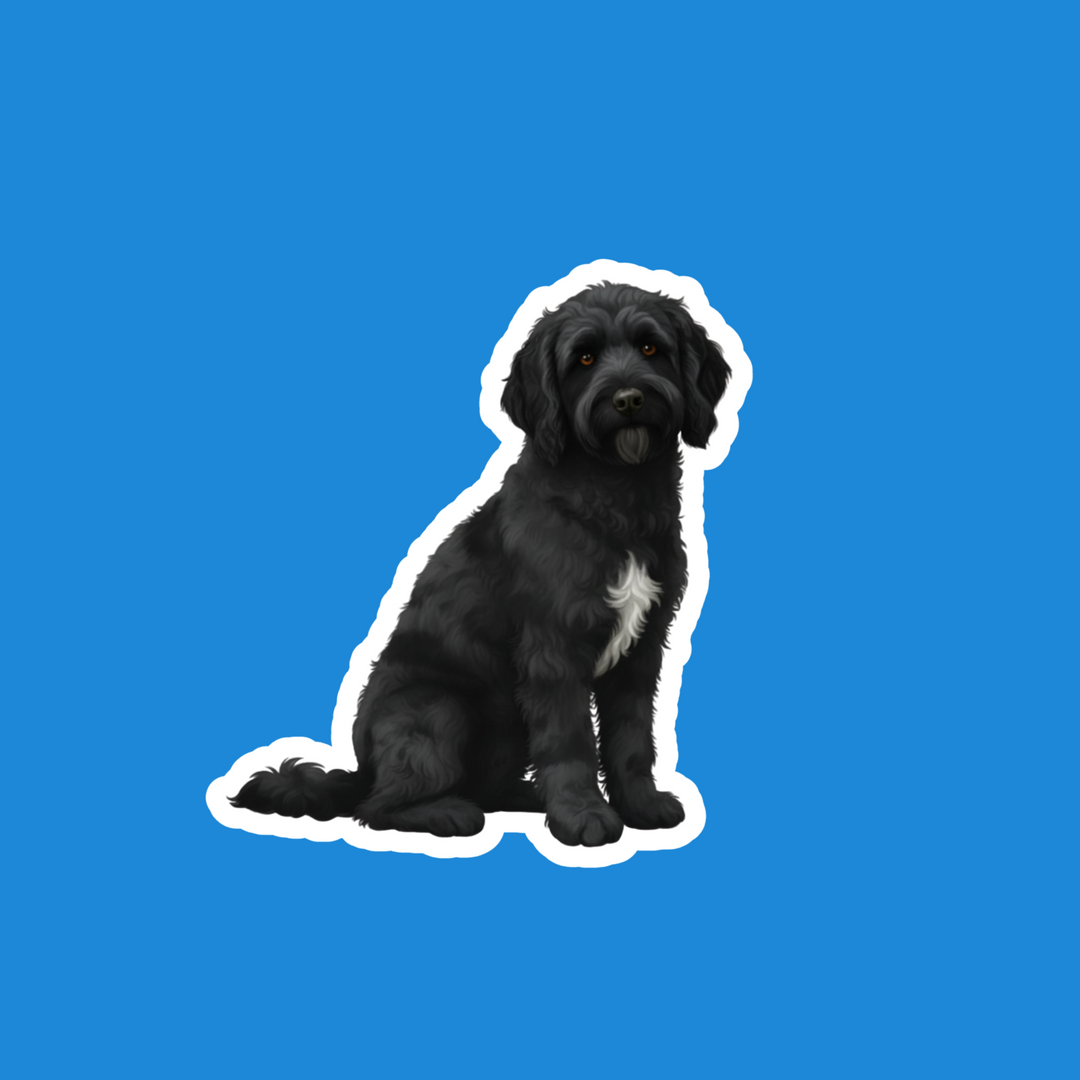 A die-cut sticker of a black curly-haired dog with a white chest patch, shown against a solid blue background.